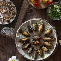 可能是鯷魚的圖像