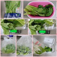 可能是綠葉甘藍、莙薘菜和文字的圖像