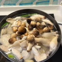 可能是香菇、蘑菇和馬勃菇的圖像