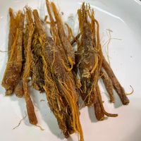 可能是鯷魚的圖像