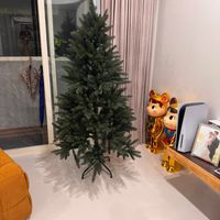 可能是聖誕樹和室內的圖像
