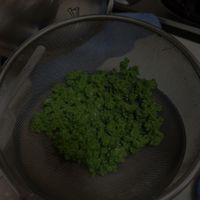 可能是文字的圖像