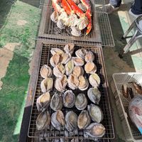 未提供相片說明。