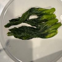 可能是食物的圖像