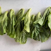 可能是綠葉甘藍和紫蘇的圖像