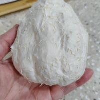 可能是馬勃菇的圖像