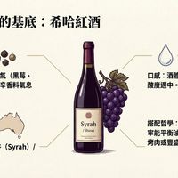 可能是葡萄酒和顯示的文字是「靈魂醬汁的基底 靈魂醬汁的基底：希哈紅酒 的基底：希哈紅酒 希哈紅酒 風味：深色水果香氣（黑莓、 風味 深色水果香氣 （黑莓、 紫羅蘭） 羅蘭）與獨特的辛香料氣息 （胡椒 叔、甘草）。 口感： 酒滑飽滿 口感：酒體飽滿，單寧柔順， 單寧柔順， 酸度適中。 Syrah Shiraz 產區：法國隆河谷（Syrah)/ 產區 法國隆河谷 品：法國隆河谷 (Syrah)/ 澳洲 (Shiraz) C 搭配哲學： 搭配哲學：濃郁的風味與單 濃郁的風味與單 寧能平衡油脂，非常適合搭配 寧能平衡油脂，非常 非常適合搭配 烤肉或豐盛的肉類料理。 NotebookLM 」的圖像