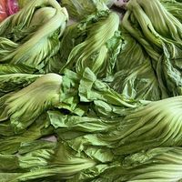 可能是綠葉甘藍的圖像