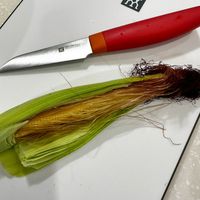 可能是刀的圖像