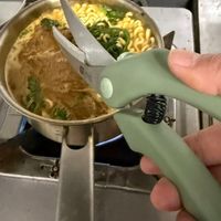 可能是義大利麵的圖像