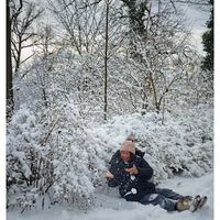 可能是雪球的圖像
