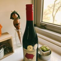 可能是顯示的文字是「 a RALLBNGE OR LEPETIT TCOCHONNET COCHON COCHONNET GARLA SAUVICINON ส CABERNET Spo 」的圖像