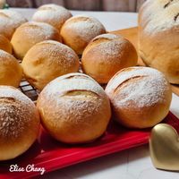 可能是顯示的文字是「 StiseChang Elise Chang 」的圖像