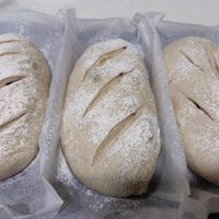 可能是黑麥麵包和法式長棍麵包的圖像