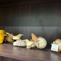 未提供相片說明。