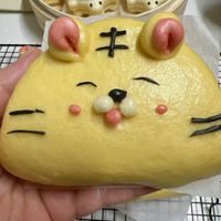 可能是食物的圖像