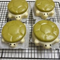 可能是烏龜的圖像