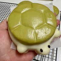 可能是烏龜和蛋糕的圖像