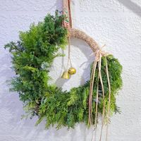 可能是花邊、槲寄生仙人掌、常春藤和莧屬植物的圖像