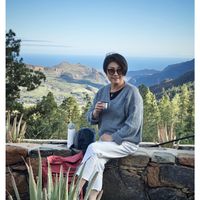 可能是龍舌蘭和山的圖像