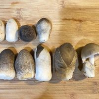 可能是香菇、馬勃菇和蘑菇的圖像
