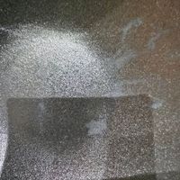 可能是 X 光的圖像