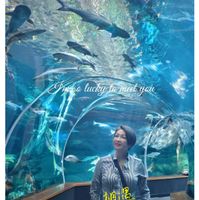 可能是文字的圖像