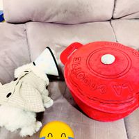 可能是玩具、飛盤和文字的圖像