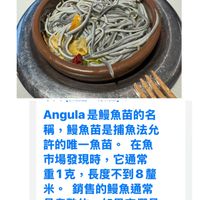 可能是鯷魚和顯示的文字是「 Angula ngula是饅魚苗的名 是體魚苗的名 稱， ，饅魚苗是捕魚法允 許的唯一魚苗。 在魚 市場發現時，它通常 它通常 市場發現時， 重1克， 長度不到8董 米。 銷售的饅魚通常 是煮熟的， 是煮熟的，如果它們是 如果它們是 活的， 的，它們是透明的。」的圖像