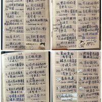 可能是票根和文字的插圖