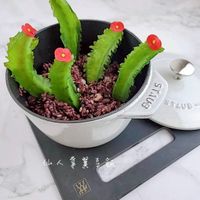 可能是槲寄生仙人掌和文字的圖像