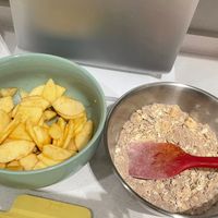 可能是燕麥餅乾和蘋果的圖像