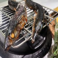 可能是鯷魚的圖像