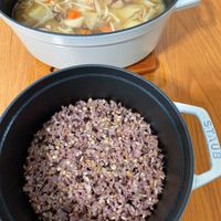 可能是炒飯的圖像