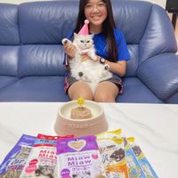 未提供相片說明。