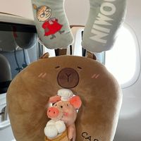 未提供相片說明。