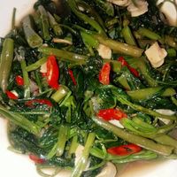 未提供相片說明。
