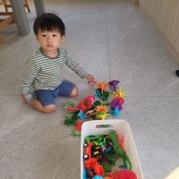 未提供相片說明。