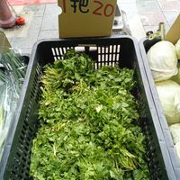 未提供相片說明。