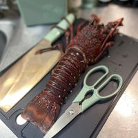可能是獅子魚的圖像
