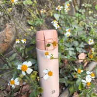 可能是美髮產品、香氛和文字的圖像