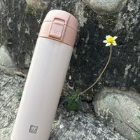 可能是顯示的文字是「盛」的圖像