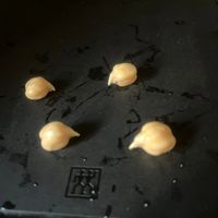 可能是幼苗的圖像