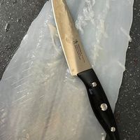可能是刀的圖像