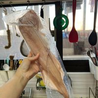 未提供相片說明。