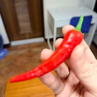 未提供相片說明。