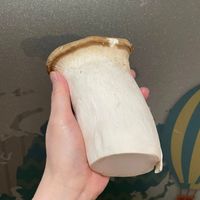 可能是骨骼和馬勃菇的圖像