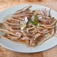 可能是鯷魚的圖像
