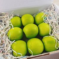 可能是蘋果和文字的圖像