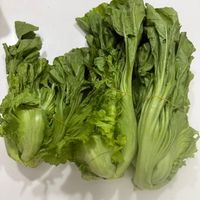 可能是綠葉甘藍的圖像